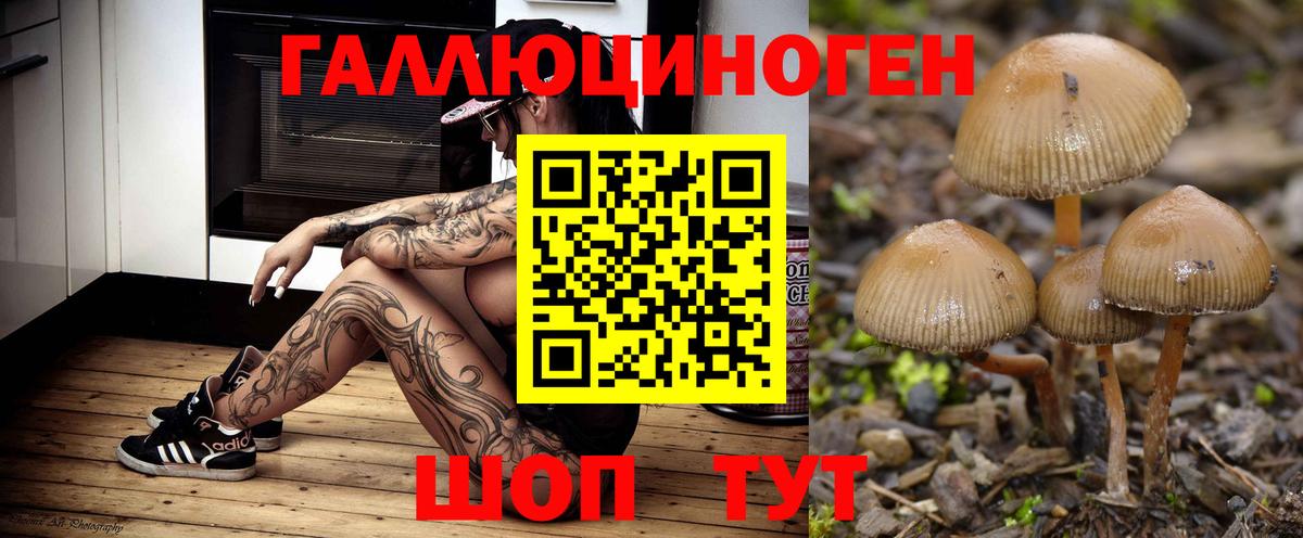 Псилоцибиновые грибы Magic Shrooms Камышин