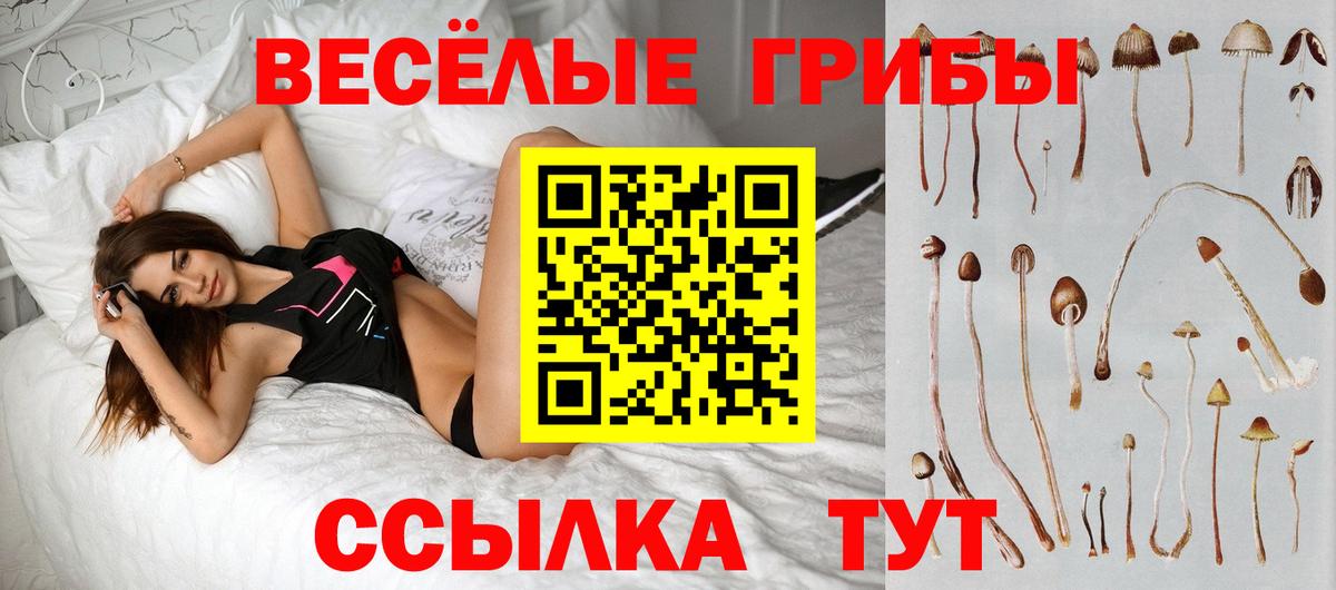 ГАШИШ Камышин